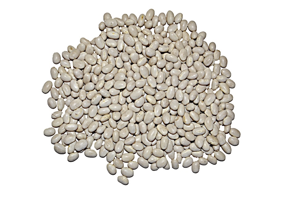 MONGETES SEQUES ECO BOSSA 4/5Kg