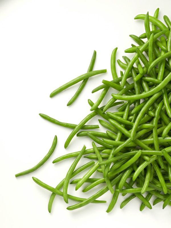 MONGETA ROD. SENCERA FINA 4/2.5Kg.