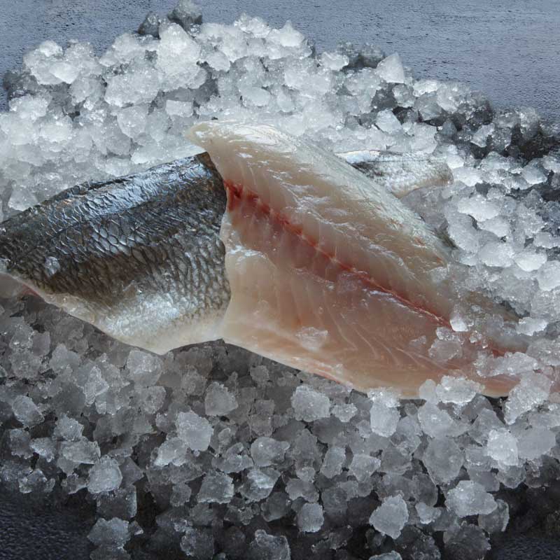 ORADA FILET (100-140g) 20% 5Kg.