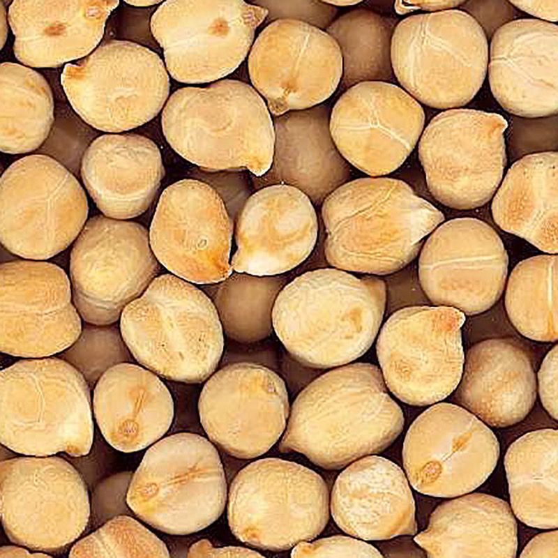 CIGRONET PEDROSILLANO BOSSA 4/5Kg