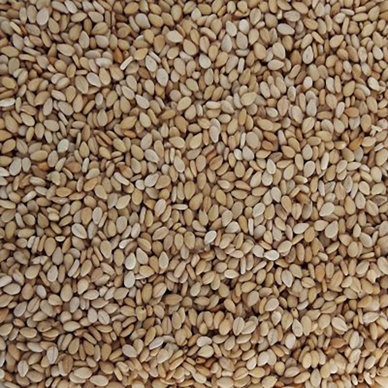 SÈSAM AJONJOLÍ POT 6/300g