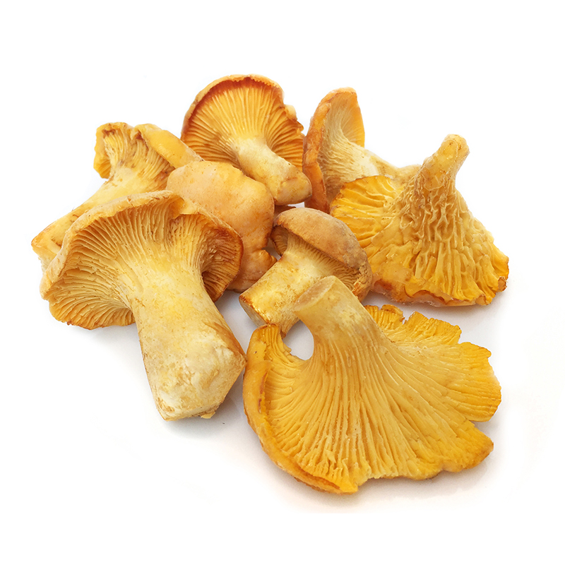 SETAS REBOZUELO (ROSSINYOL) 5/1Kg