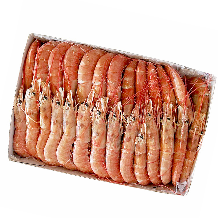 GAMBA ARGENTINA A BORD N2(20-30) 6/2Kg