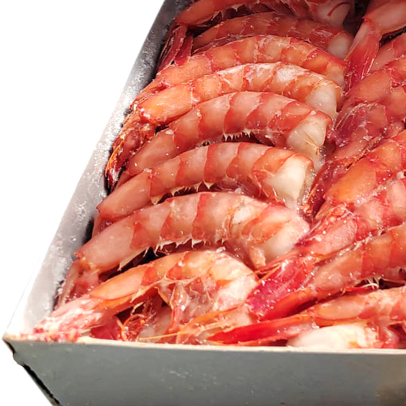 COLA GAMBA  ALISTADA  CON PIEL N1 12/1Kg apx