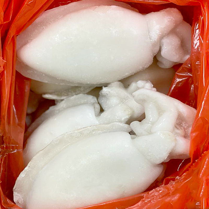 SEPIA INDIA 1-2  25% 6Kg