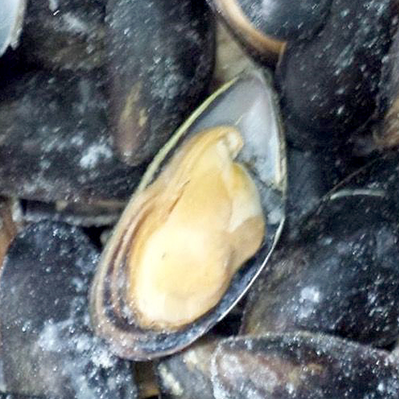 MEJILLÓN 1/2C. CHILE 10%(80-100)8Kg.