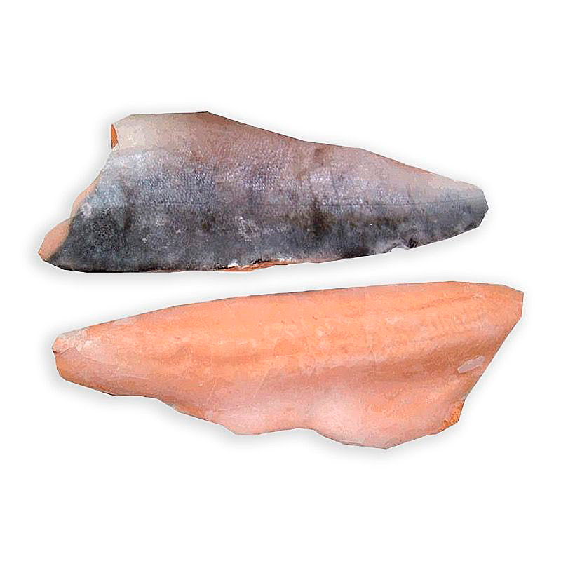 SALMÓ FILET KETA PBO(800-1.5)25% 10Kg