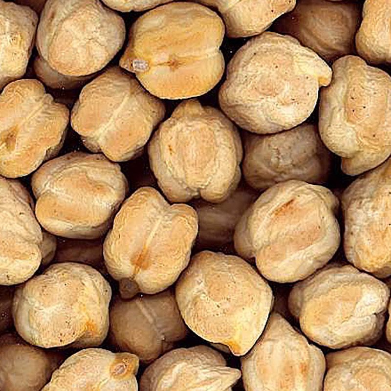 GARBANZO CASTELLANO EXTRA BOLSA 4/5 Kg.