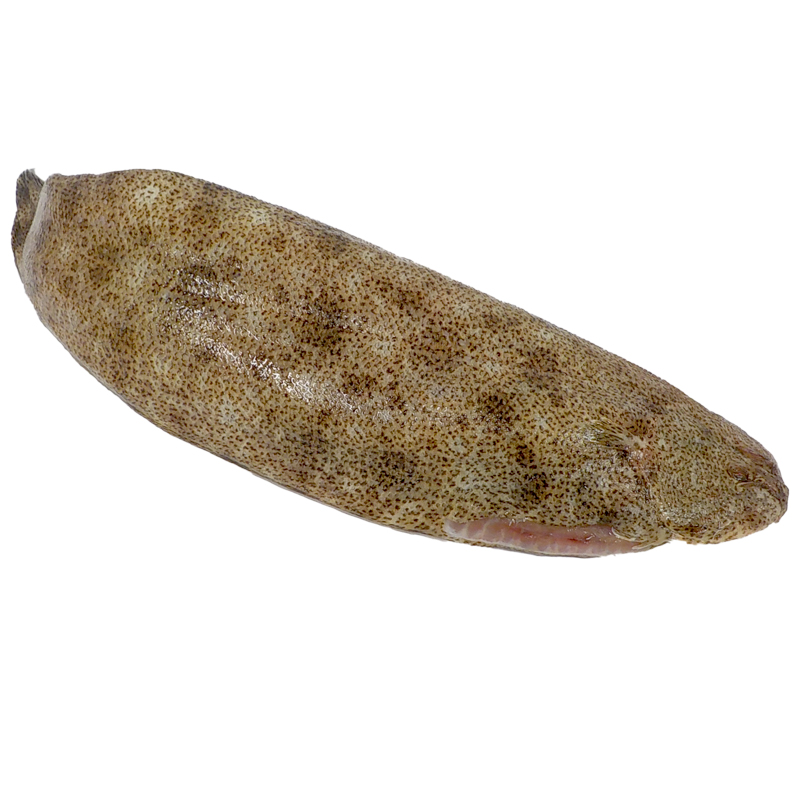 LENGUADO TIGRE EVISCERADO ENVUELTO(200-300)2/5kg