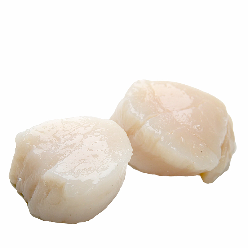 VIEIRA CARNE S/CORAL(T.U-10)(15p/kg) 10/1Kg.