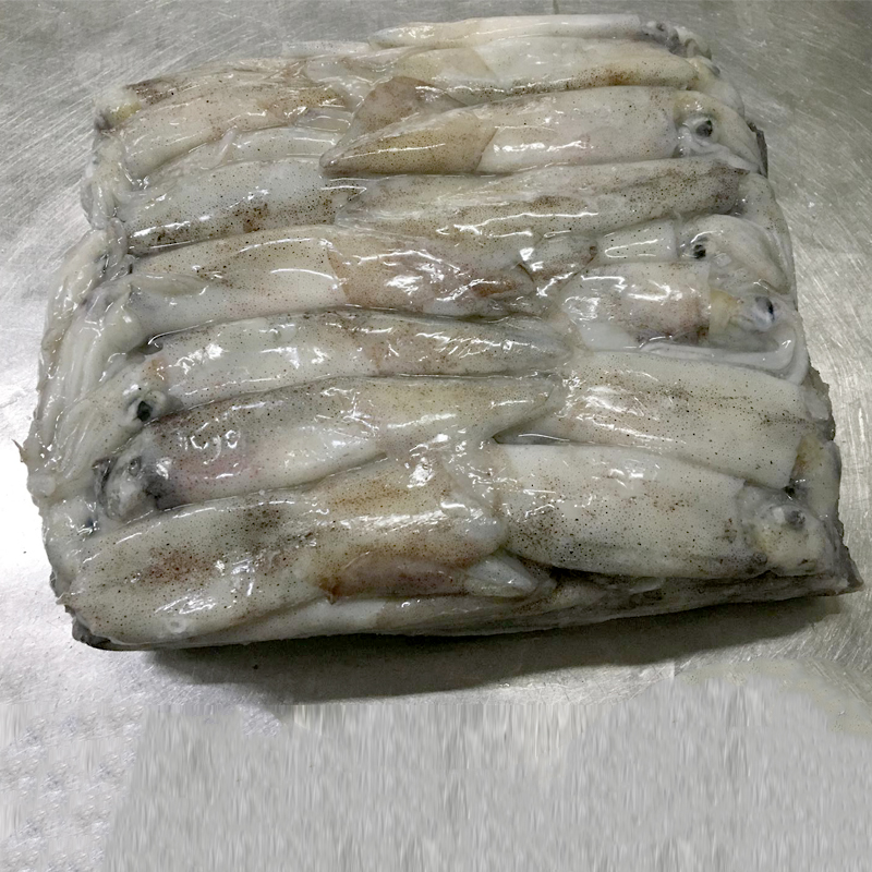 CALAMAR PATAG.SENCER (12-15cm) 0% C.5kg