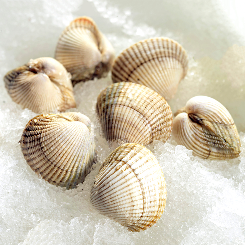 ESCOPINYA PILOTA GOLF (Malla 1 kg)