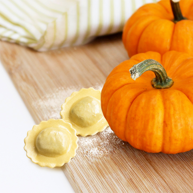 GIRASOL CARBASSA 6/1Kg