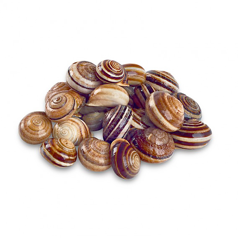 CARGOL CABRILLA -G-(80-100/kg)10/1Kg