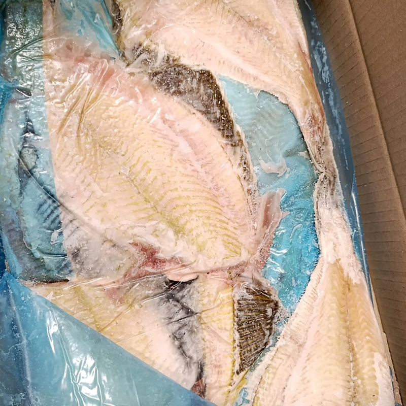 LIMANDA  JAP. SENSE PELL HG (200/400gr ) INTF 0% C.6Kg