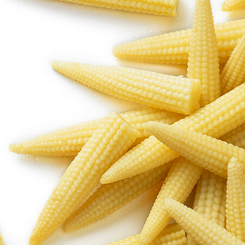 BLAT DE MORO PANOTXA BABY (7-10mm) SENCERA 4/2500gr