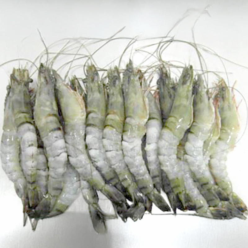 LANGOSTINO BT S/PIEL C/CABEZA y COLA( BIKINI)20% 10/1Kg