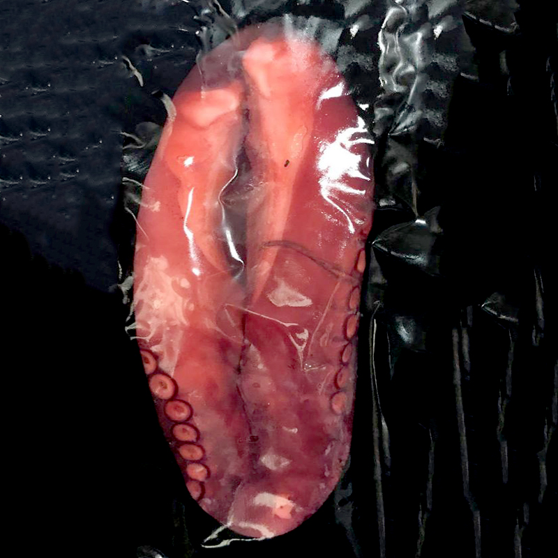 POP POTA CUITA(en el seu suc) 12B.al BUIT(100-200gr) 3.5Kg apx