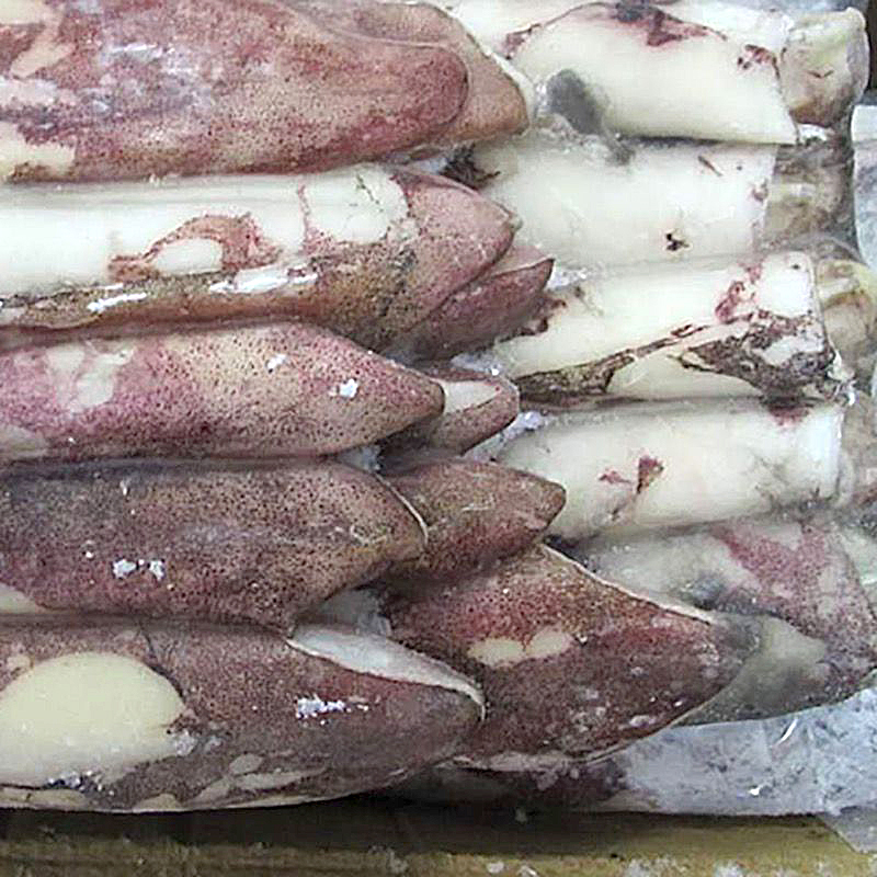 CALAMAR MARROC 2P (17-20cm)0% 4/5Kg