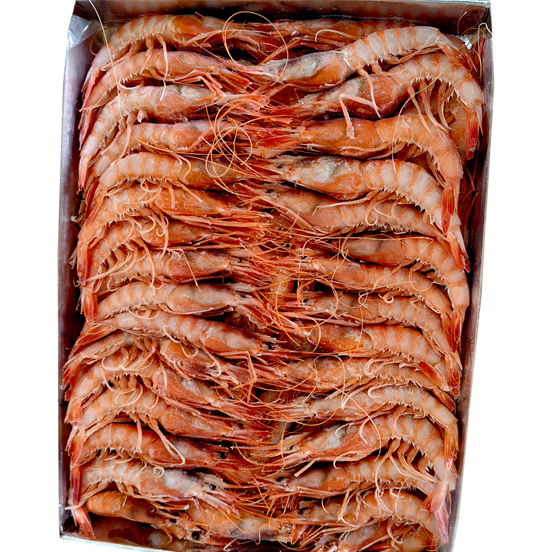 GAMBA ALISTADO TUNEZ N6 80/100 12/1kg