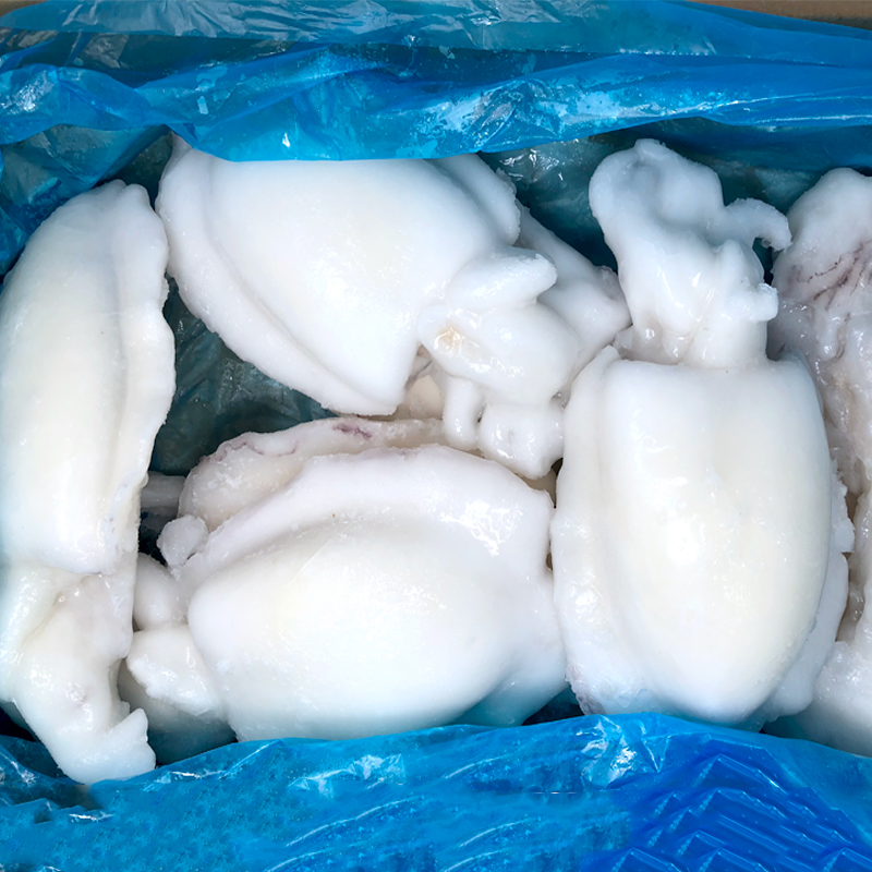 SÍPIA NETA -GGG- 25%(+900gr) IQF 9Kg