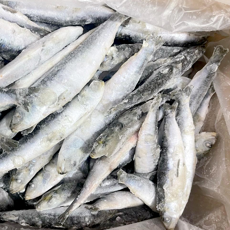 SARDINA ENTERA (20-30 p/k) 0% 5kg