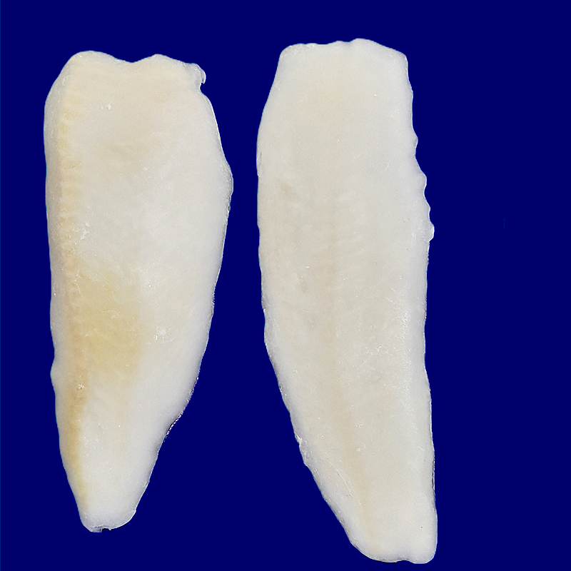 HALIBUT FILET ALASKA (100-200) 25% 6 Kg