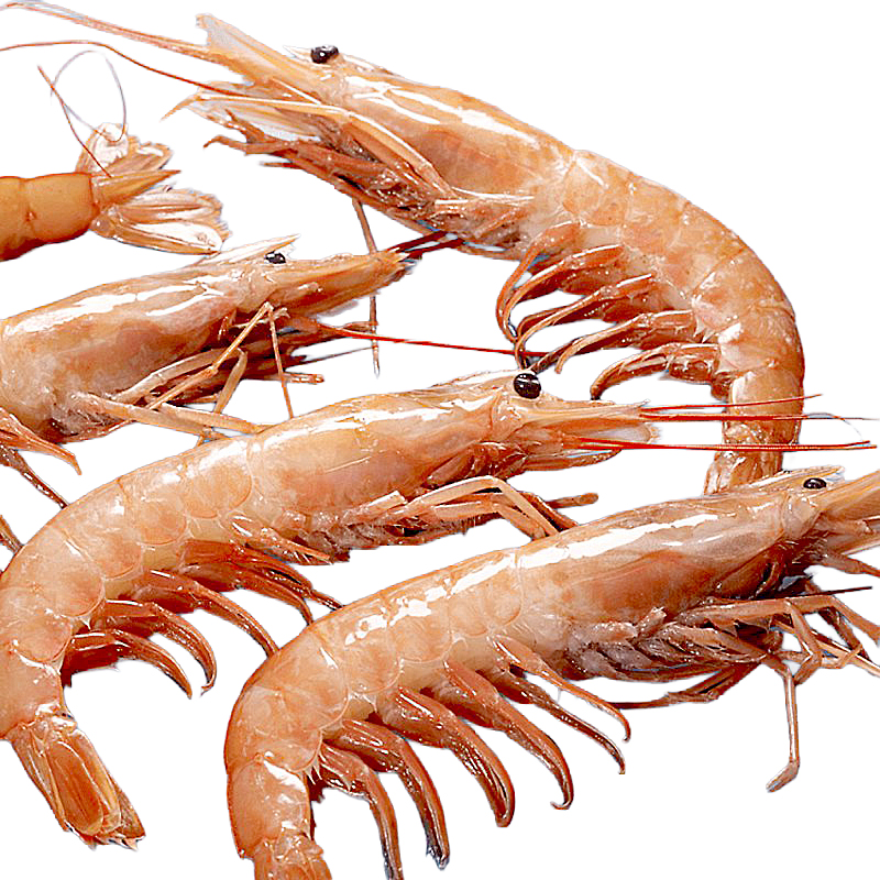 GAMBA ARGENTINA (planta)MSC N3(30-40) 6/2kg  
