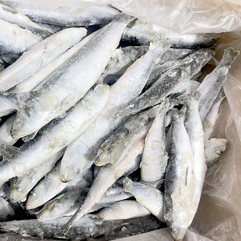 SARDINA SENCERA (10-25 p/k)C.5Kg