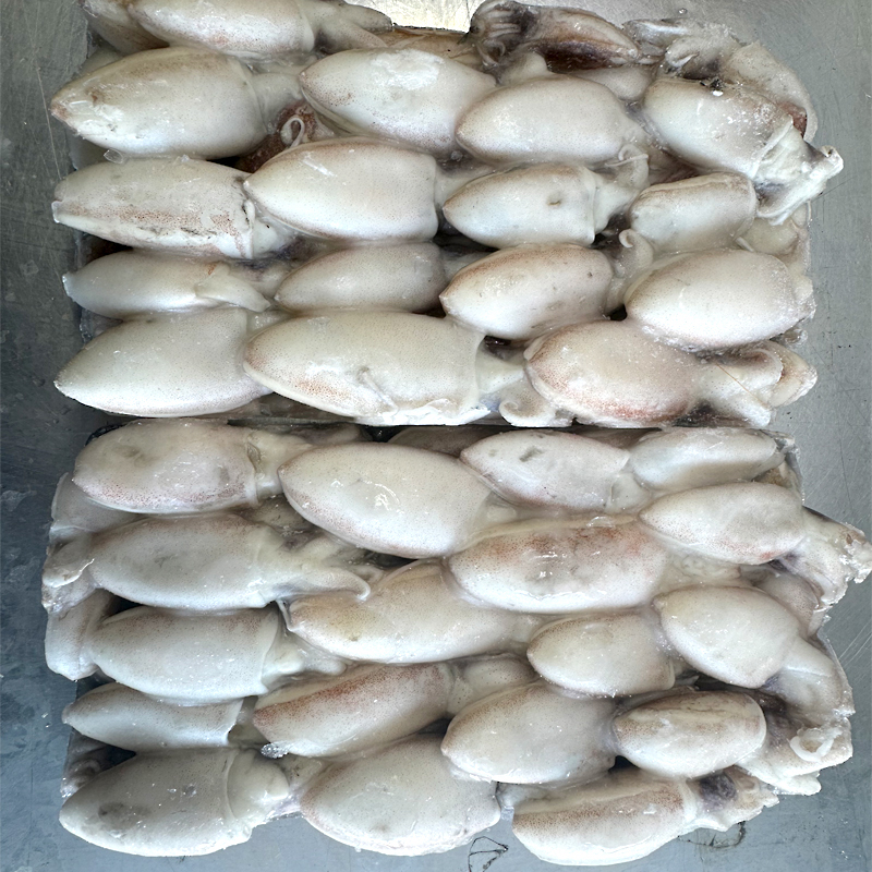 SÍPIA ALMENDRITA(sepiola)BLOC 28/500GR 0% C.14Kg