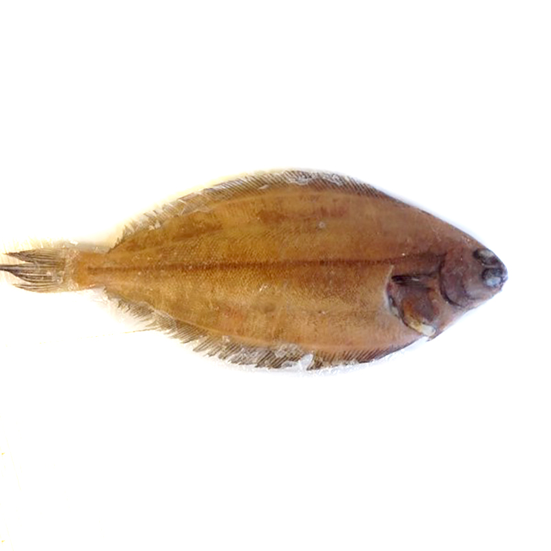 GALL -MENDO EVS.A/P20%IQF(100-300g)10Kg