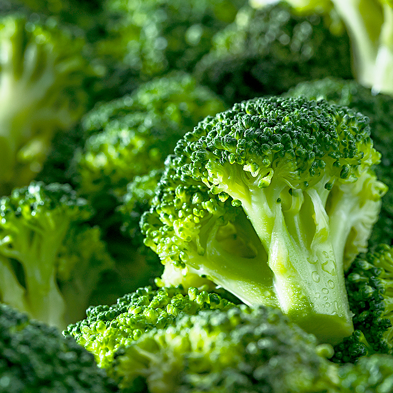 BRÒQUIL (BROCOLI) MINUTE 4/2.5Kg.