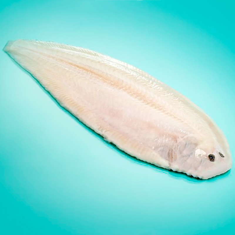 LLENGUADO HOL.N3 Premium (300-350)20%5k