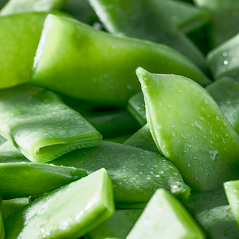 JUDIA PLANA MINUTE 4/2.5Kg