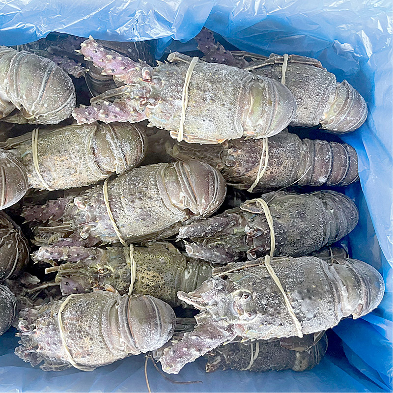 LLAGOSTA VERDA CR.MARROC(100-200)6Kg