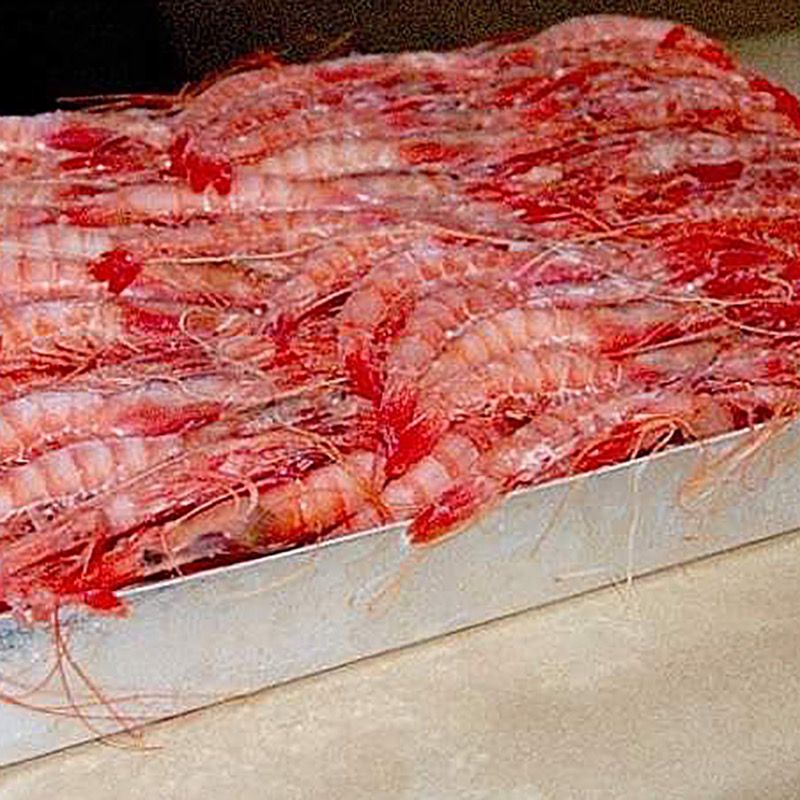 GAMBA ALLISTADA N1(38-46)3 CARABELAS 12/1Kg.apx.