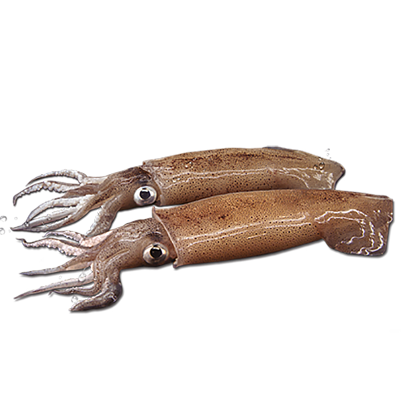 CALAMAR PATAGÒNIC C4-0% 5Kg.apx.