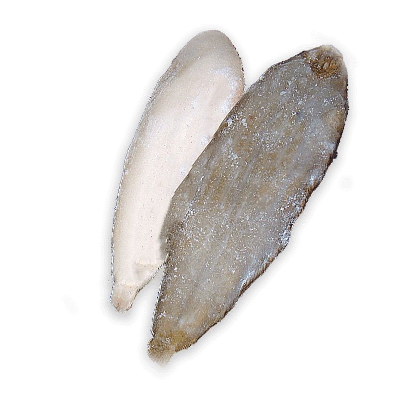 LENGUADO HOL.N4(170-220)30%5kg