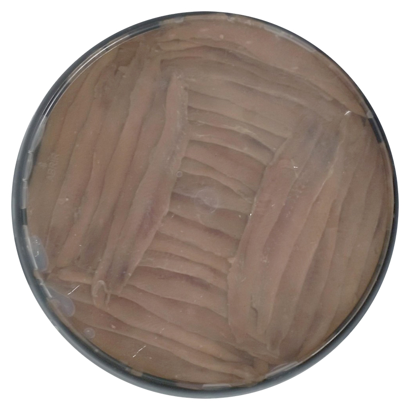 ANXOVA FIL. EN OLI  '0' 500grs escorregut (CESMAR)