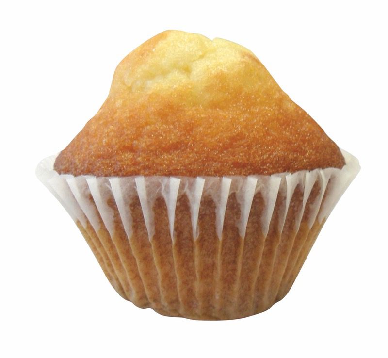 MAGDALENAS 10/(10x40g)