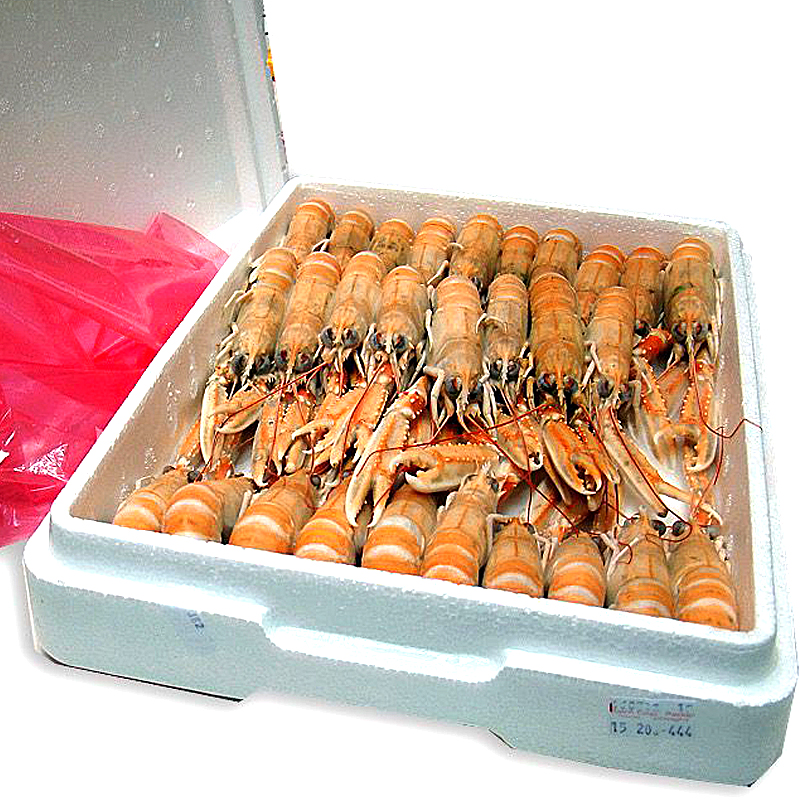 ESCAMARLÀ ESCÒCIA N2(16-20)1.350k 4/1.5kg 