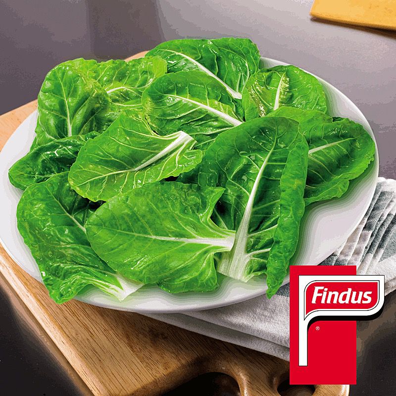 BLEDA FULLA PORCIONS 15g. 6/1Kg