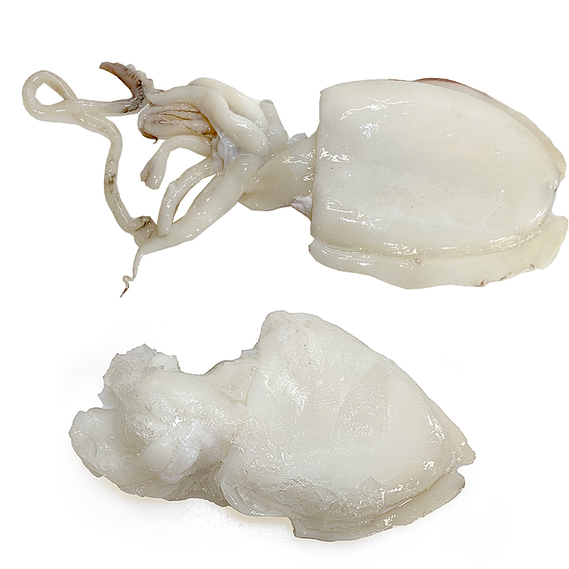 SÍPIA NETA-G-25%(450-650)IQF.6kg.