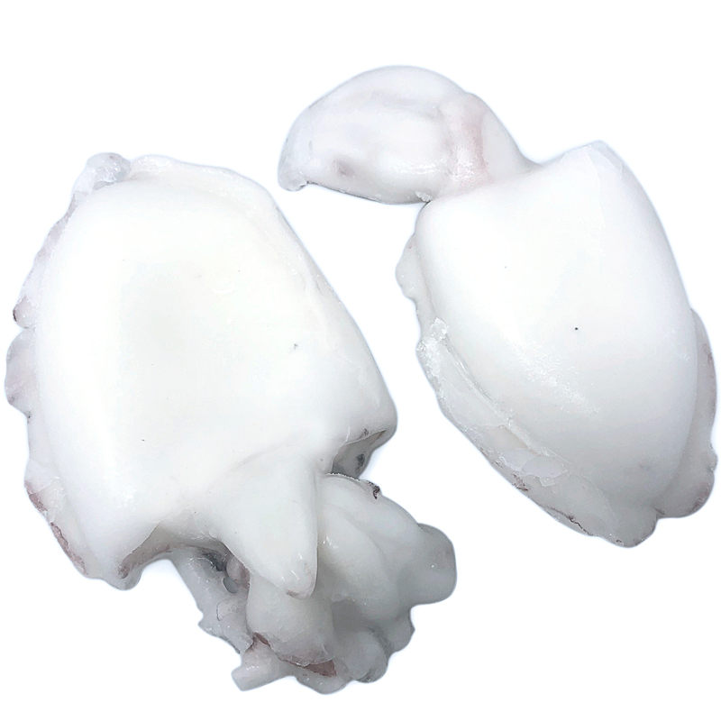 SÍPIA NETA-M-25%(250-450)IQF.6kg.